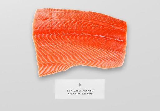 Ethically Farmed Atlantic Salmon
